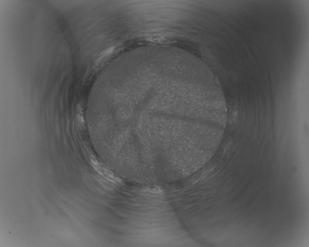 X0000076071106200610202007