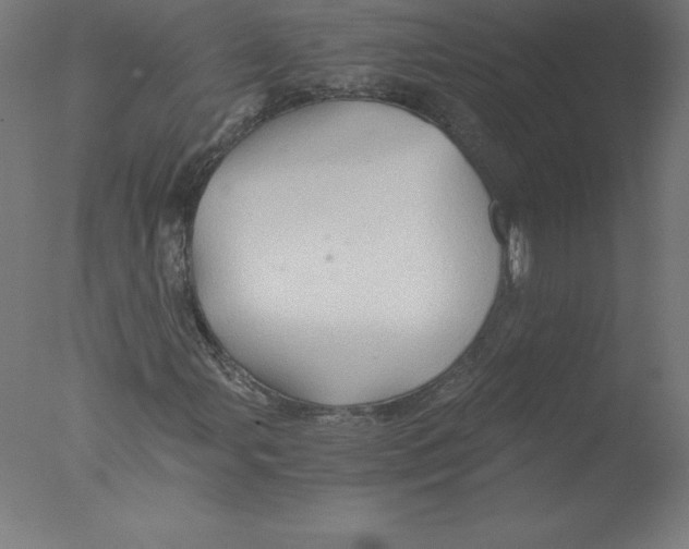 X0000076071107200610202007