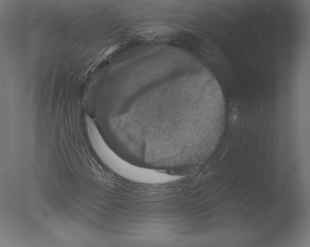 X0000076071108200610202007