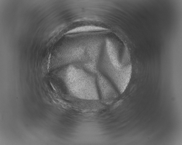 X0000076071110200610202007