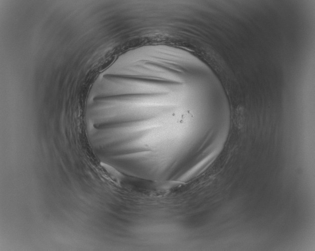 X0000076071111200610202007