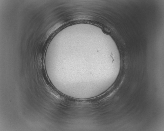 X0000076071113200610202007