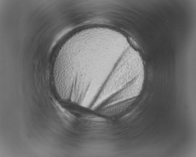 X0000076071115200610202007