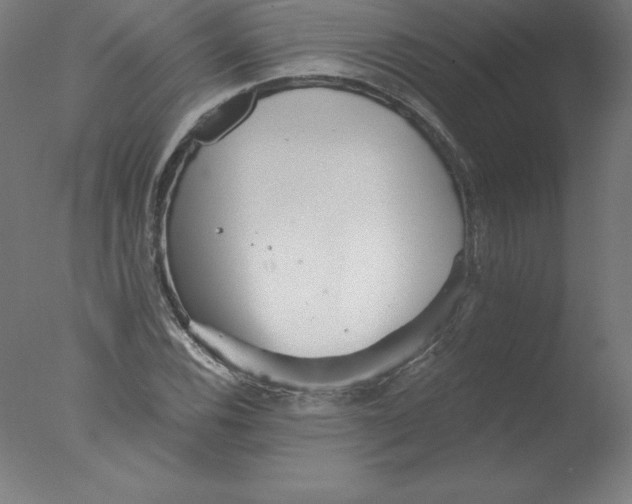 X0000076071116200610202007