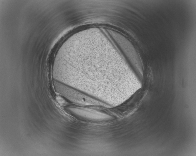 X0000076071118200610202007