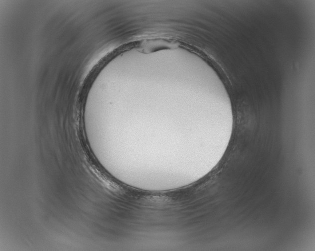 X0000076071119200610202007