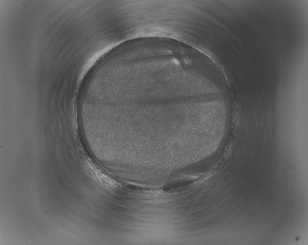 X0000076071120200610202007