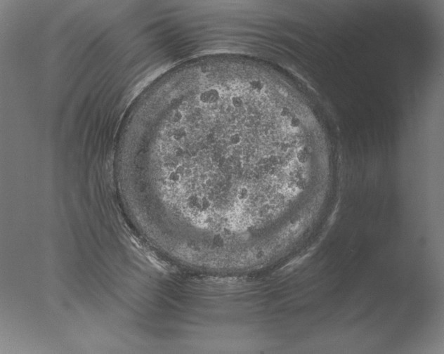 X0000076071121200610202007