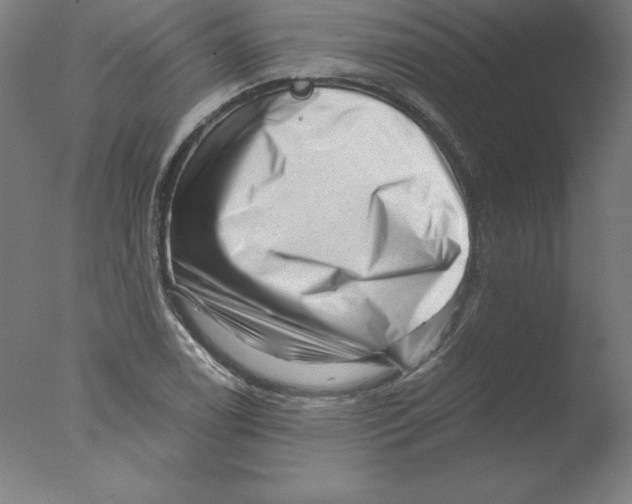 X0000076071122200610202007