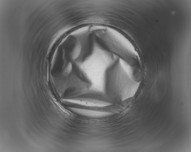 X0000076071123200610202007