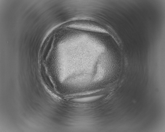 X0000076071124200610202007