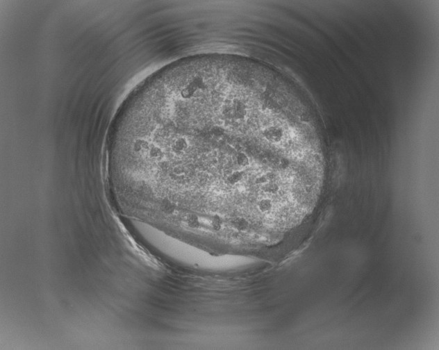 X0000076071125200610202007