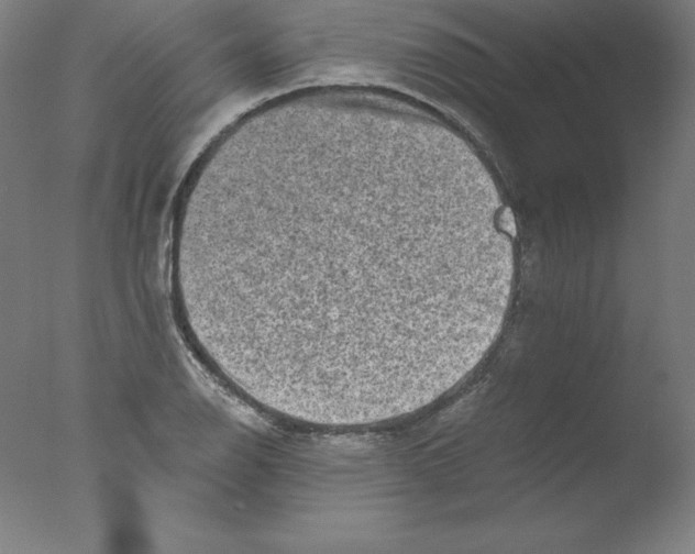 X0000076071126200610202007