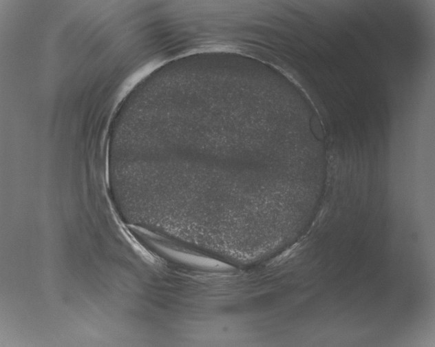 X0000076071127200610202007