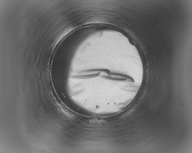 X0000076071129200610202007