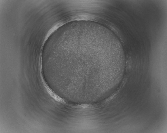 X0000076071130200610202007