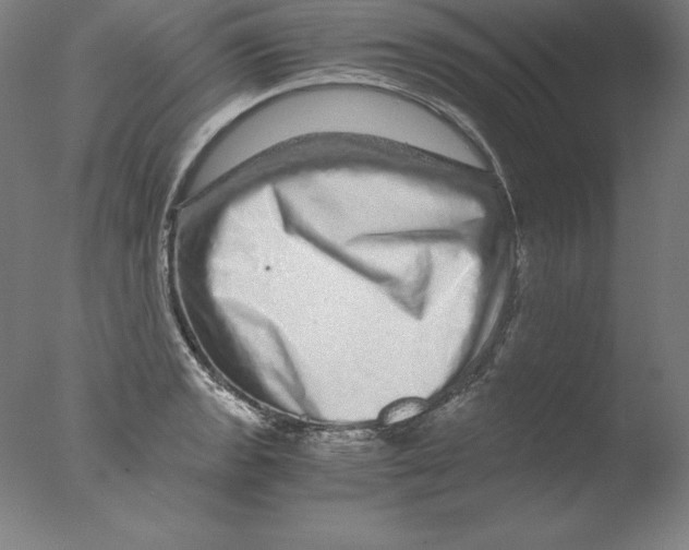 X0000076071133200610202007