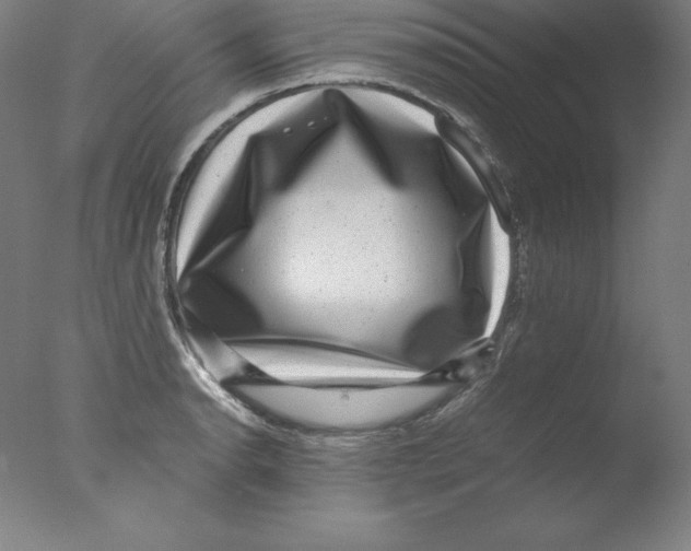 X0000076071134200610202007