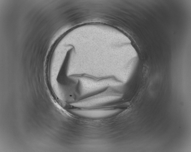 X0000076071135200610202007