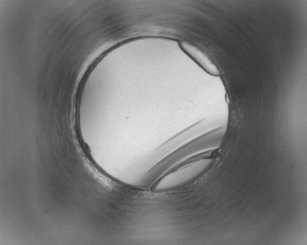 X0000076071136200610202007