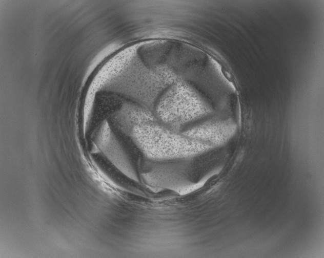 X0000076071138200610202007