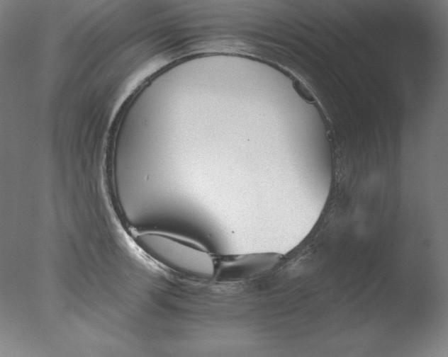 X0000076071139200610202007