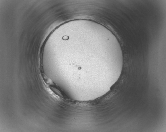 X0000076071140200610202007