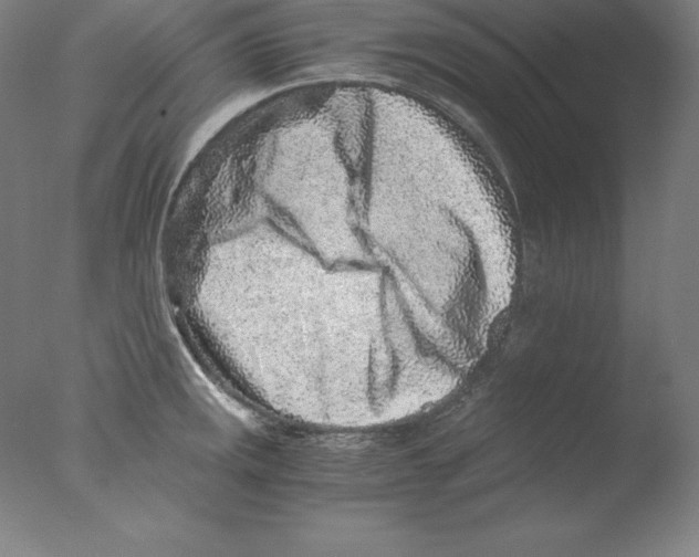 X0000076071141200610202007