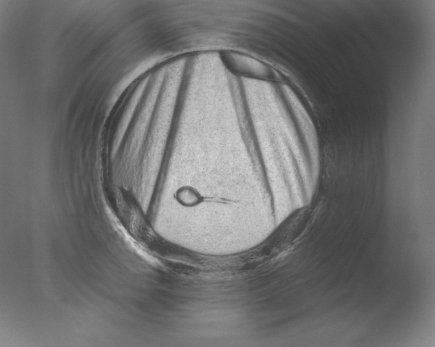 X0000076071142200610202007