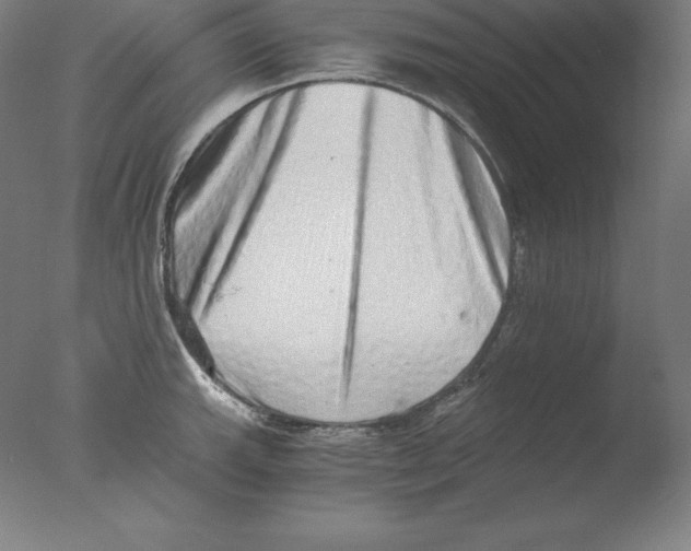 X0000076071143200610202007