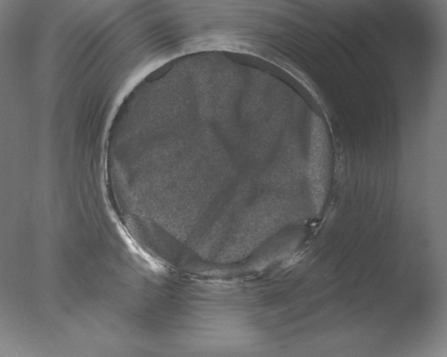 X0000076071144200610202007