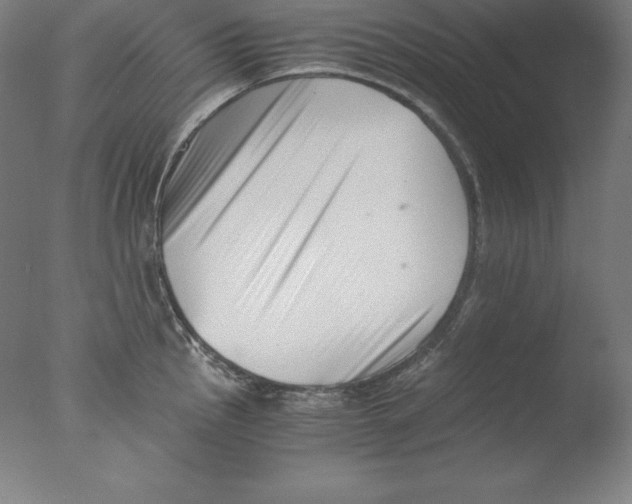 X0000076071145200610202007