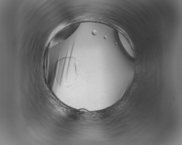 X0000076071146200610202007