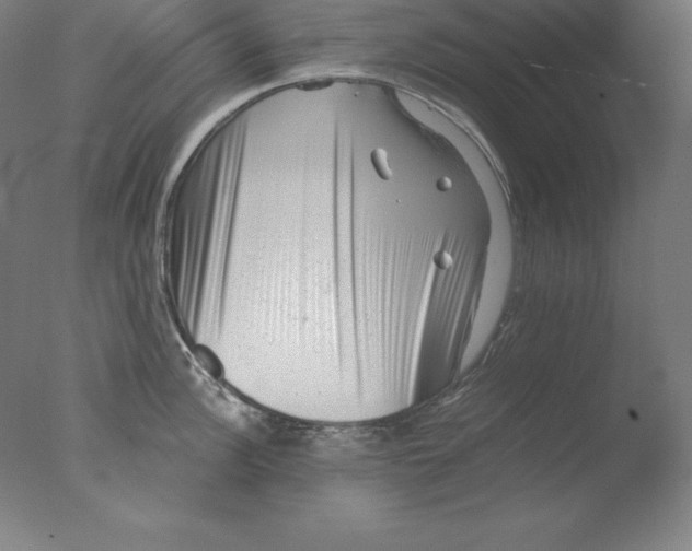 X0000076071148200610202007