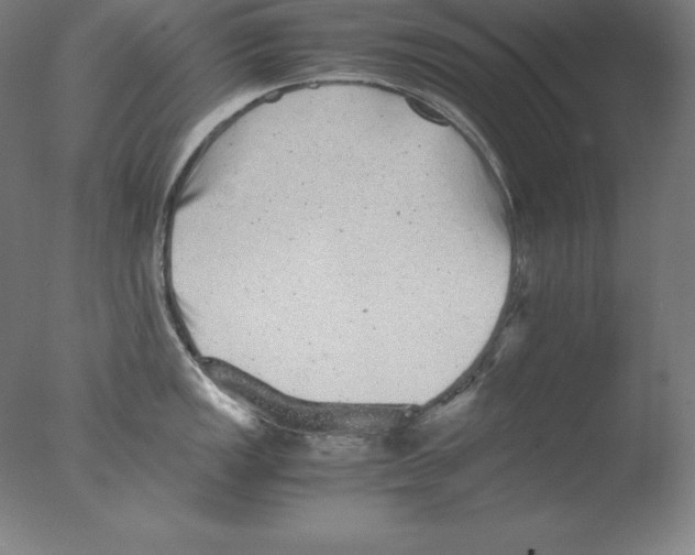 X0000076071149200610202007