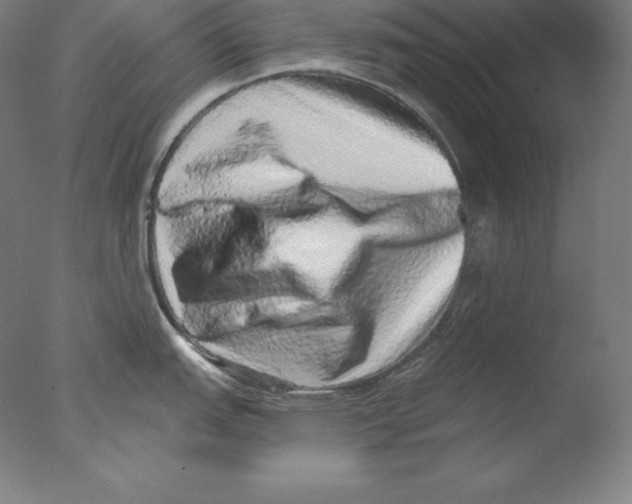 X0000076071151200610202007