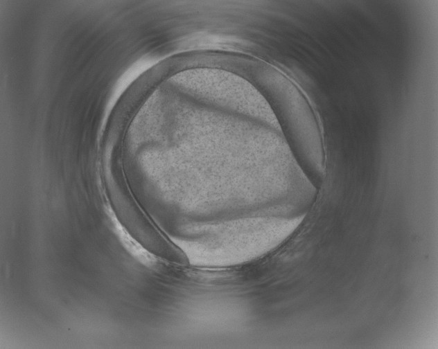 X0000076071152200610202007