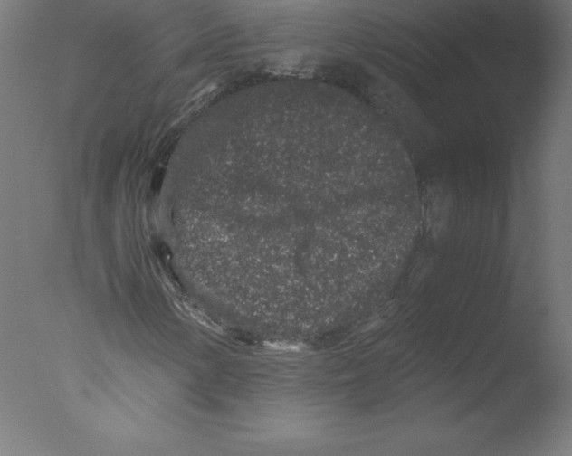 X0000076071154200610202007