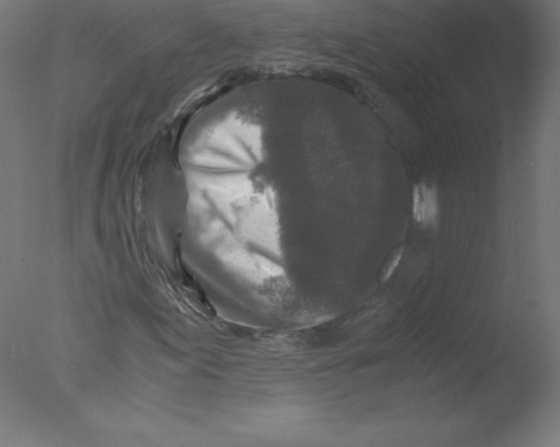 X0000076071155200610202007