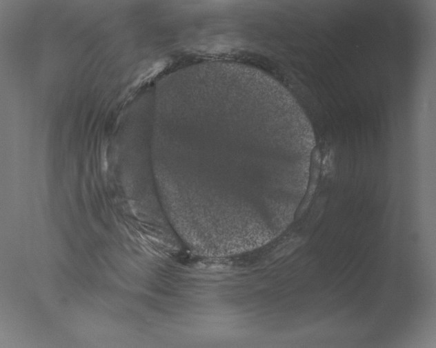 X0000076071156200610202007