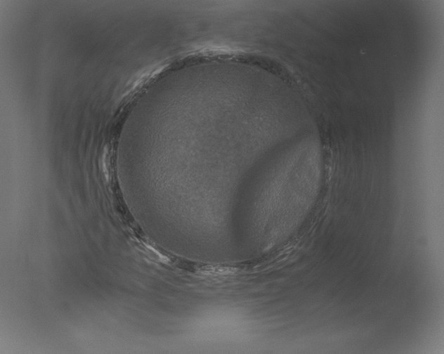 X0000076071157200610202007