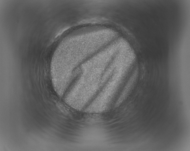 X0000076071158200610202007