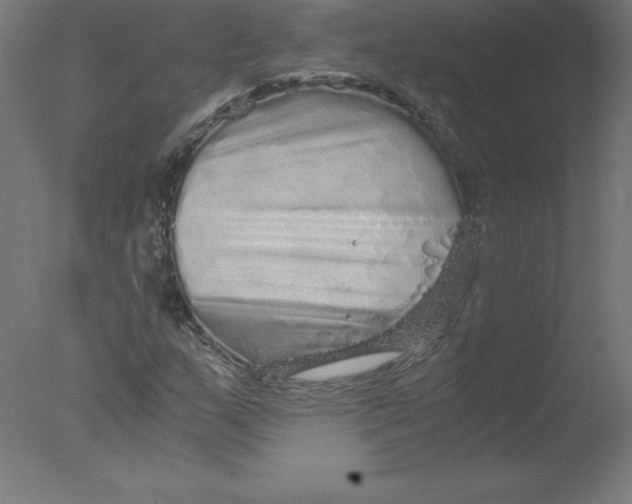 X0000076071159200610202006