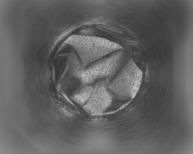 X0000076071160200610202006