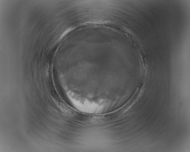 X0000076071161200610202006