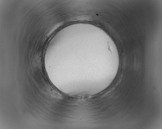 X0000076071162200610202006