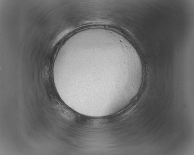 X0000076071163200610202006