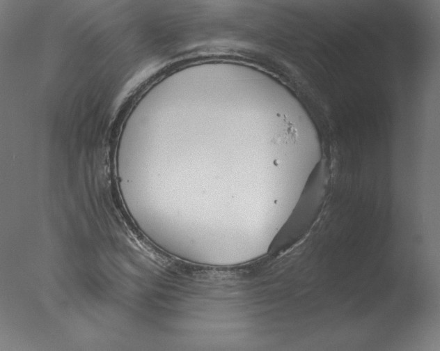 X0000076071164200610202006