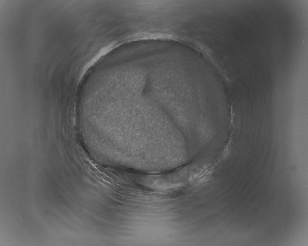 X0000076071165200610202006