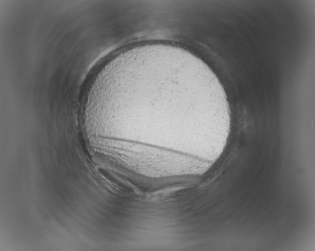 X0000076071166200610202006